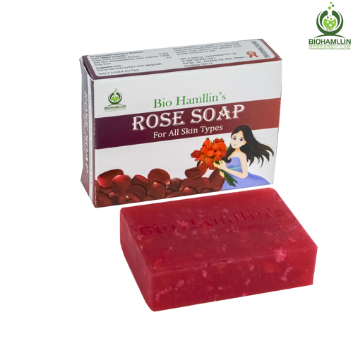 BIOHAMLLIN SOAP ALOE...