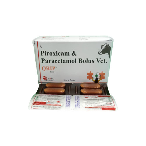 QRIP BOLUS