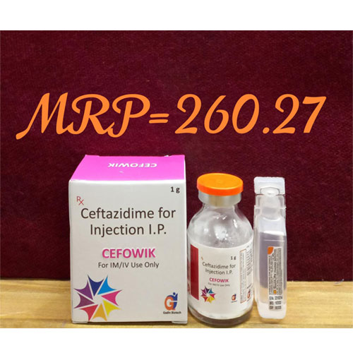 CEFOWIK INJECTION (1GM) 