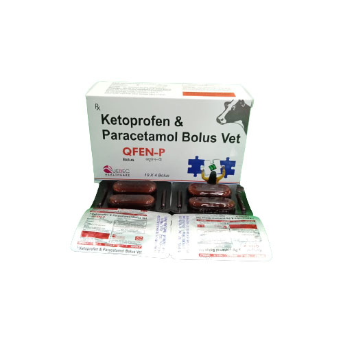 QFEN – P BOLUS