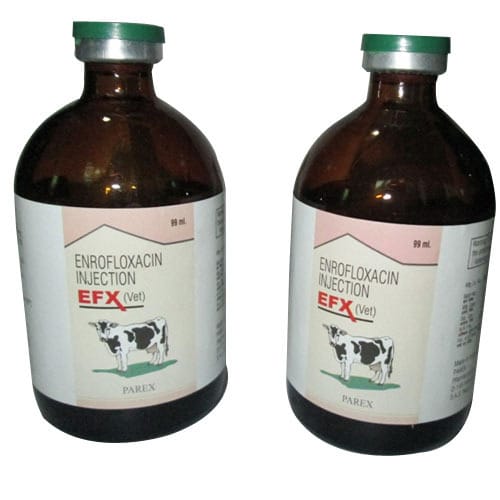 ENROFLOXACIN Injection EFX