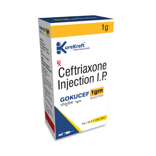 GOKUCEF-1G INJECTION