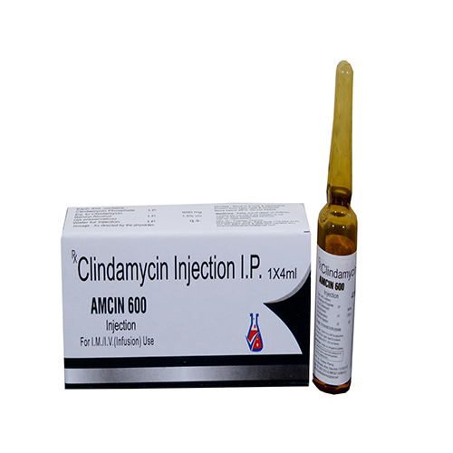 AMCIN-600 Injection