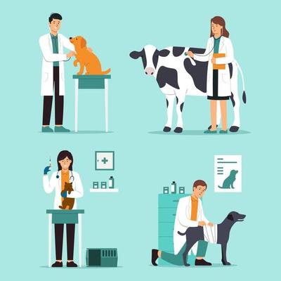 Meloxicam 5mg/7.5mg/20mg/ml Injection I.P. (Liquid Veterinary Injection)