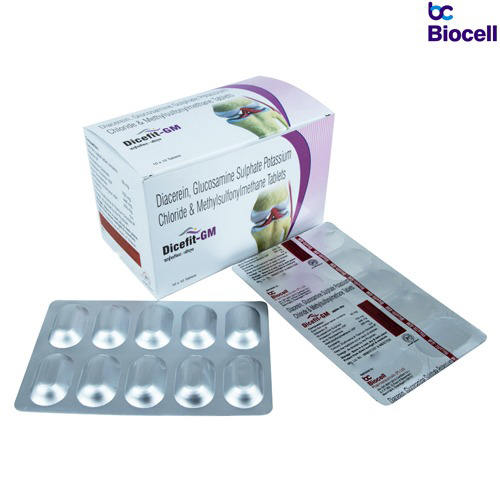 DICEFIT-GM Tablets