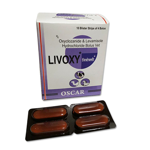 LIVOXY  Bolus