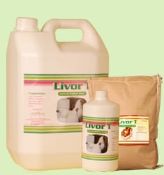 LIVOR T TONIC