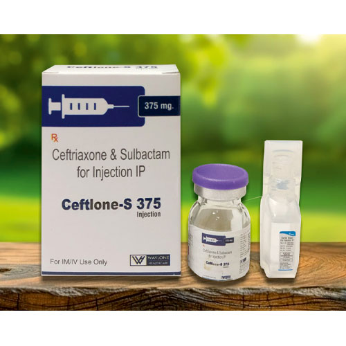CEFTLONE-S 375 Injection
