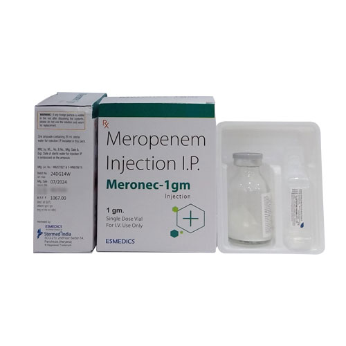 MERONEC-1GM INJECTION