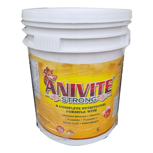 ANIVITE STRONG 25KG BKT