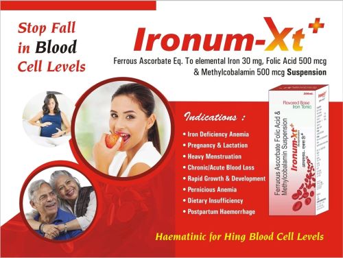 Ironum - XT Suspension