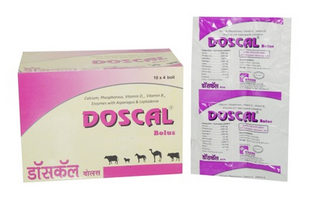 Doscal Bolus