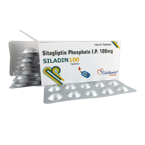 SILADIN-100 Tablets