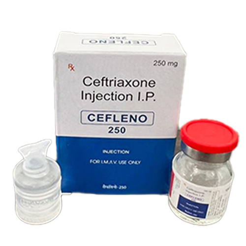 CEFLENO-250 Injection