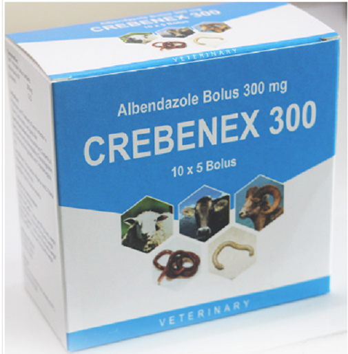 CREBENEX-300 Bolus