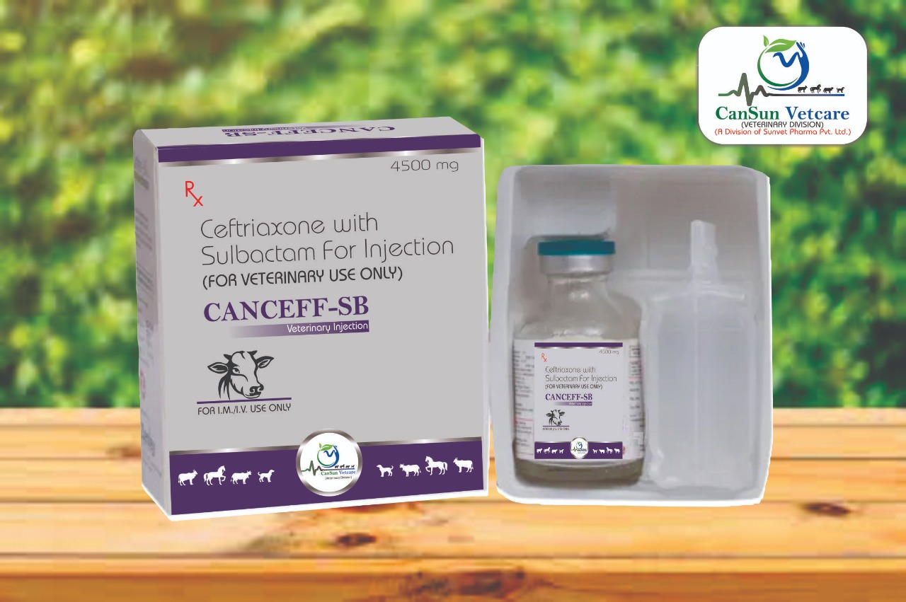 Ceftriaxone for Sulbactam veterinary injection in Pcd Franchise on Monopoly basis