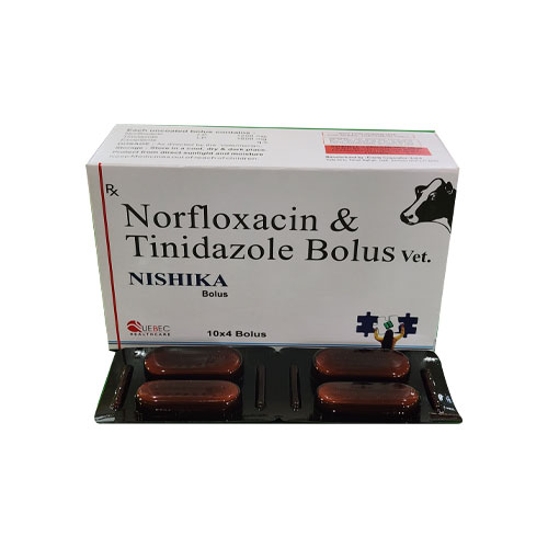 NISHIKA BOLUS