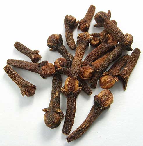 Clove Oil