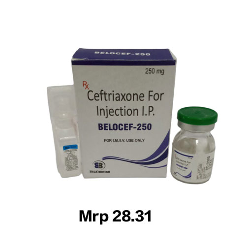 BELOCEF-250 Injections