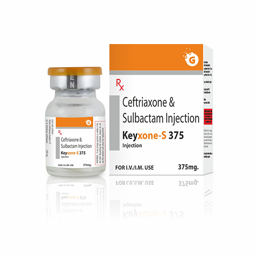 KEYXONE-S 375 INJECTION