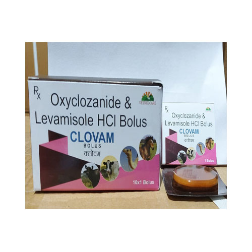 CLOVAM Bolus