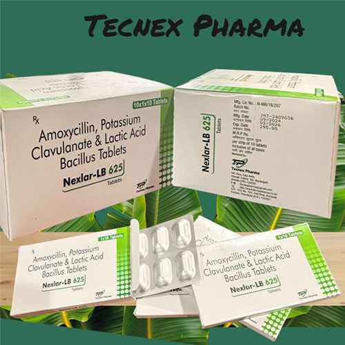 Amoxycillin 500mg + Clavulanic Acid 125mg + Lactic Acid Bacillus Tablets