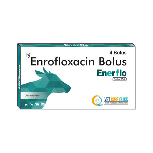 ENERFLO Bolus