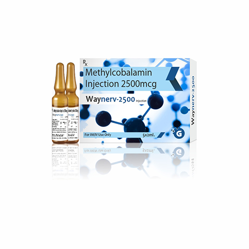 WAYNERV-2500 INJECTION