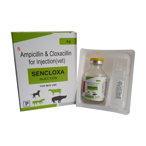 Sencloxa Injection