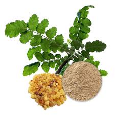 Boswellia Serrata Extracts