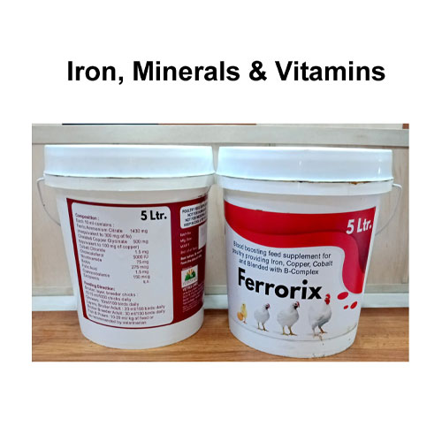 FERRORIX 5 Liter Iron Tonic