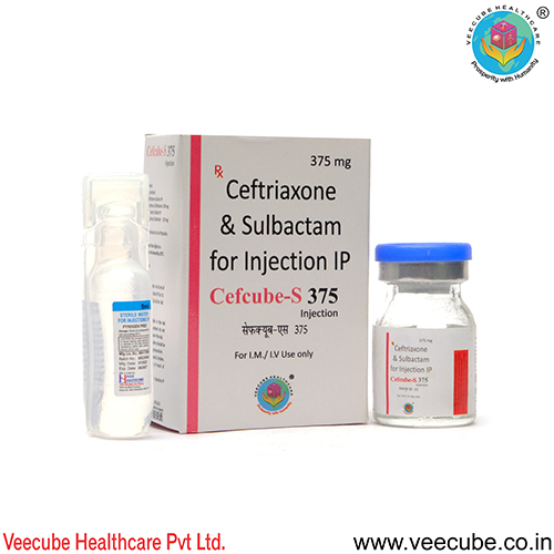 Cefcube-S 375 Injection