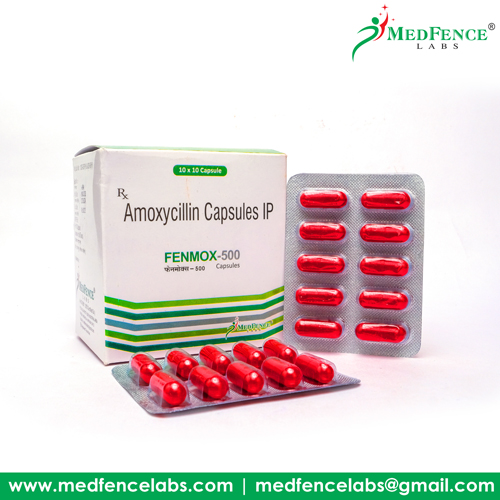 FENMOX-500 Capsules