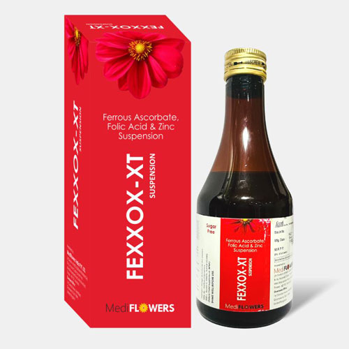 FEXXOX-XT Suspension