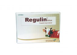 Regulin Bolus / Capsule