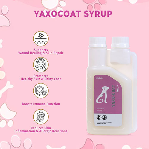 Yaxocoat Syrup