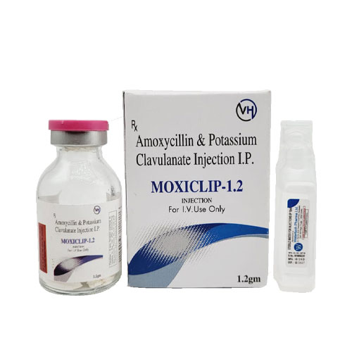 MOXICLIP-1.2 INJECTION