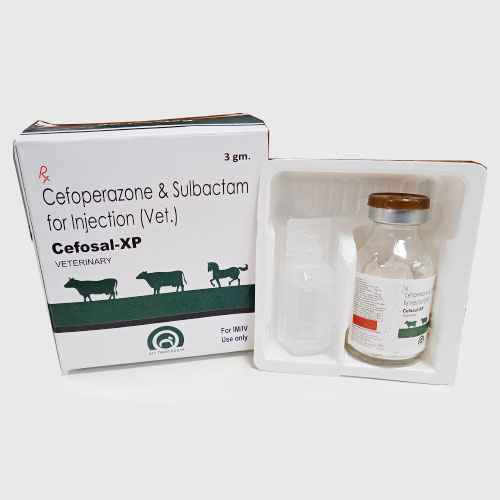 CEFOSAL-XP 3GM Injection