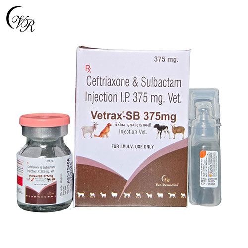 VETRAX-SB 375 INJECTION