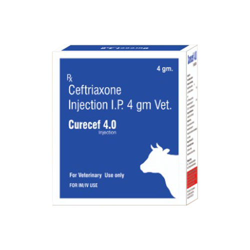 CURECEF-V 4.0 Injections