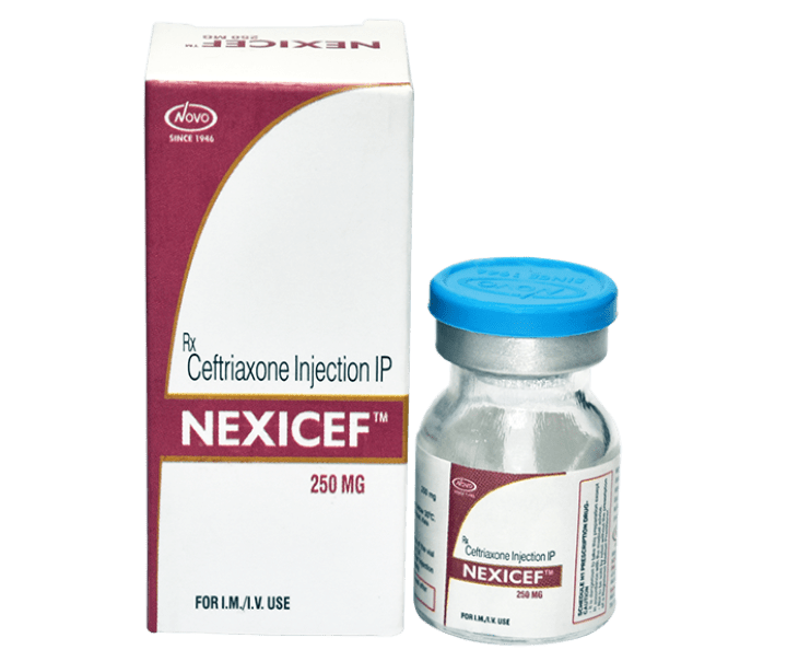 NEXICEF Injection