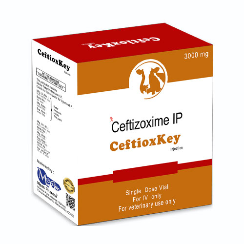 CeftioxKey Injection