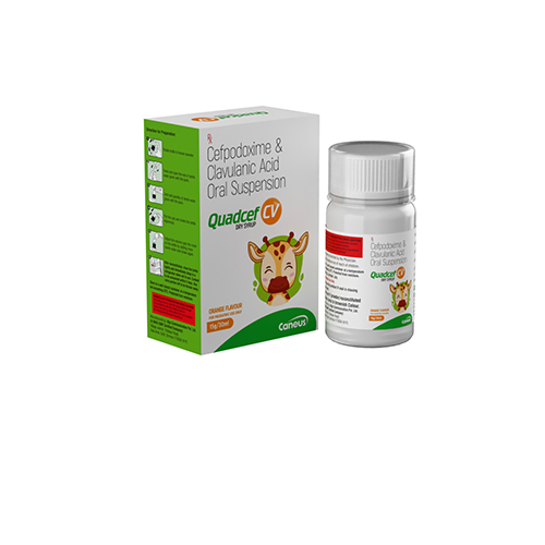 Quadcef-CV Dry Syrup