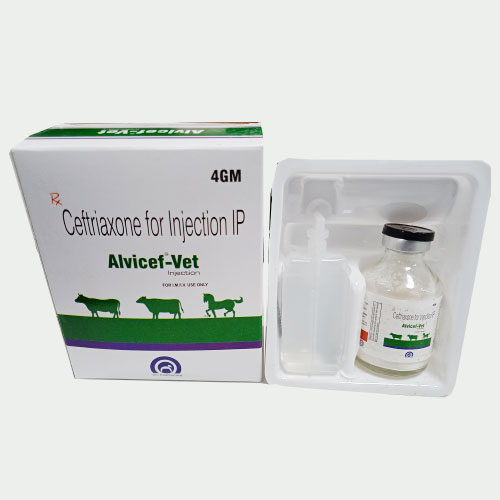ALVICEF-VET 4GM Injection