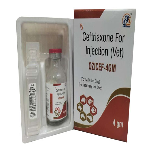 OZICEF-4GM Injection