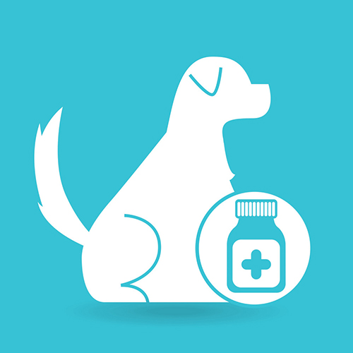 Calcium Phosphate+Poly Herbs+Probiotics Enzymes+Vitamins+Essential Trace Minerals Bolus