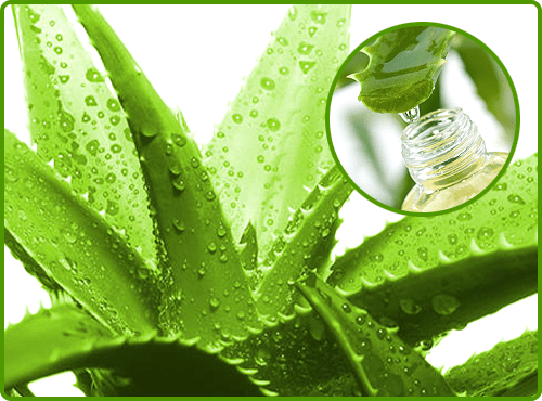 Aloevera Extract