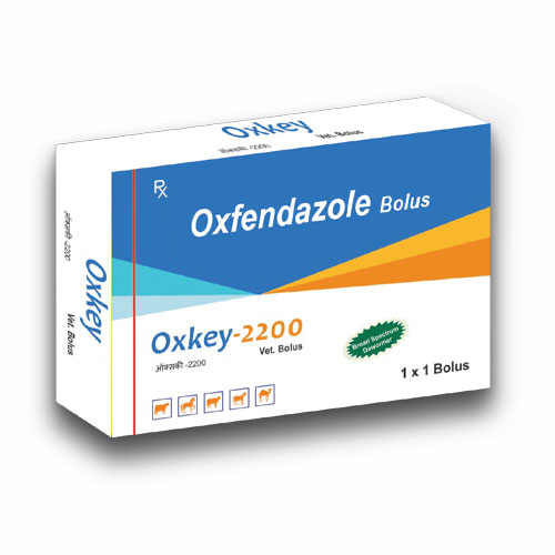 OxKey - 2200 Bolus