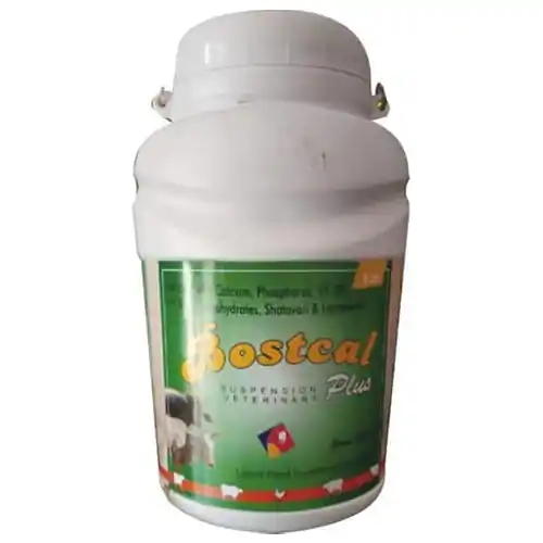 Calcium Suspension For Animal Use