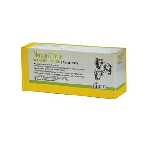 Morantel Citrate Injection